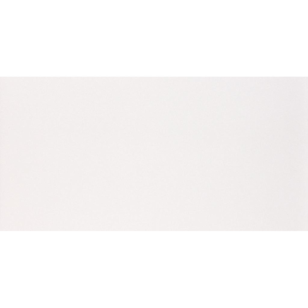 CLASSICO BRANCO MATTE 30X60 - 40204E - POINTER